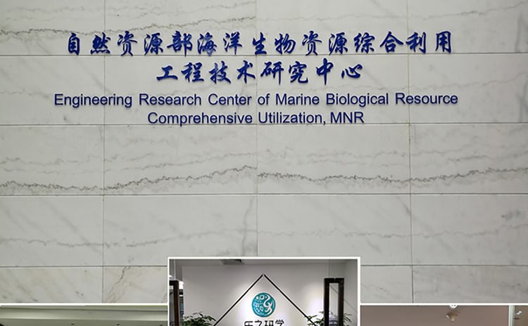 廈門logo墻設計制作公司服務于廈門多家公司logo墻設計制作安裝,匠心精神對待每家企業logo墻設計制作，致力于廈門logo墻設計,廈門logo墻制作公司_廈門logo墻制作,公司logo墻設計制作安裝